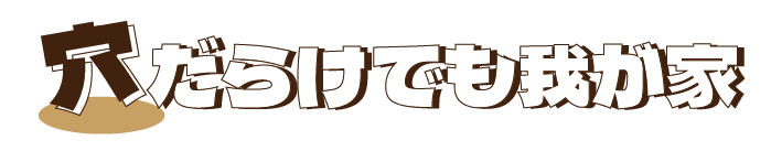 穴だらけでも我が家